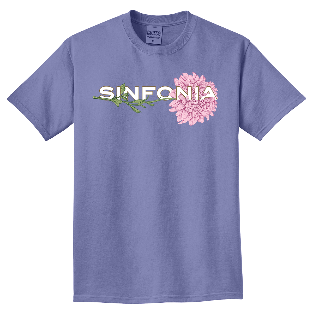 Chrysanthemum - Pink Horizontal