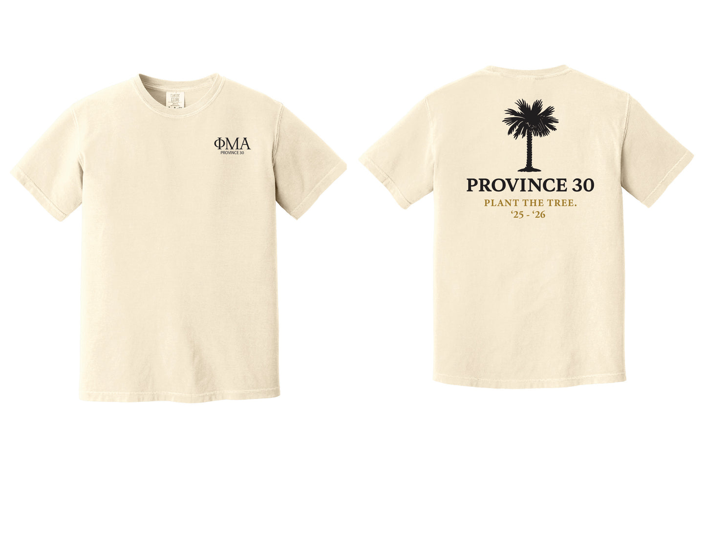 Province 30 Workshop T-Shirts