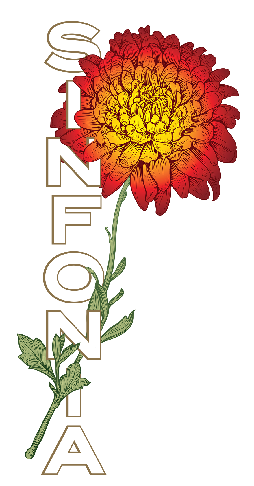 Chrysanthemum Hoodie: Red Vertical