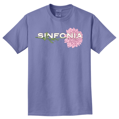 Chrysanthemum - Pink Horizontal