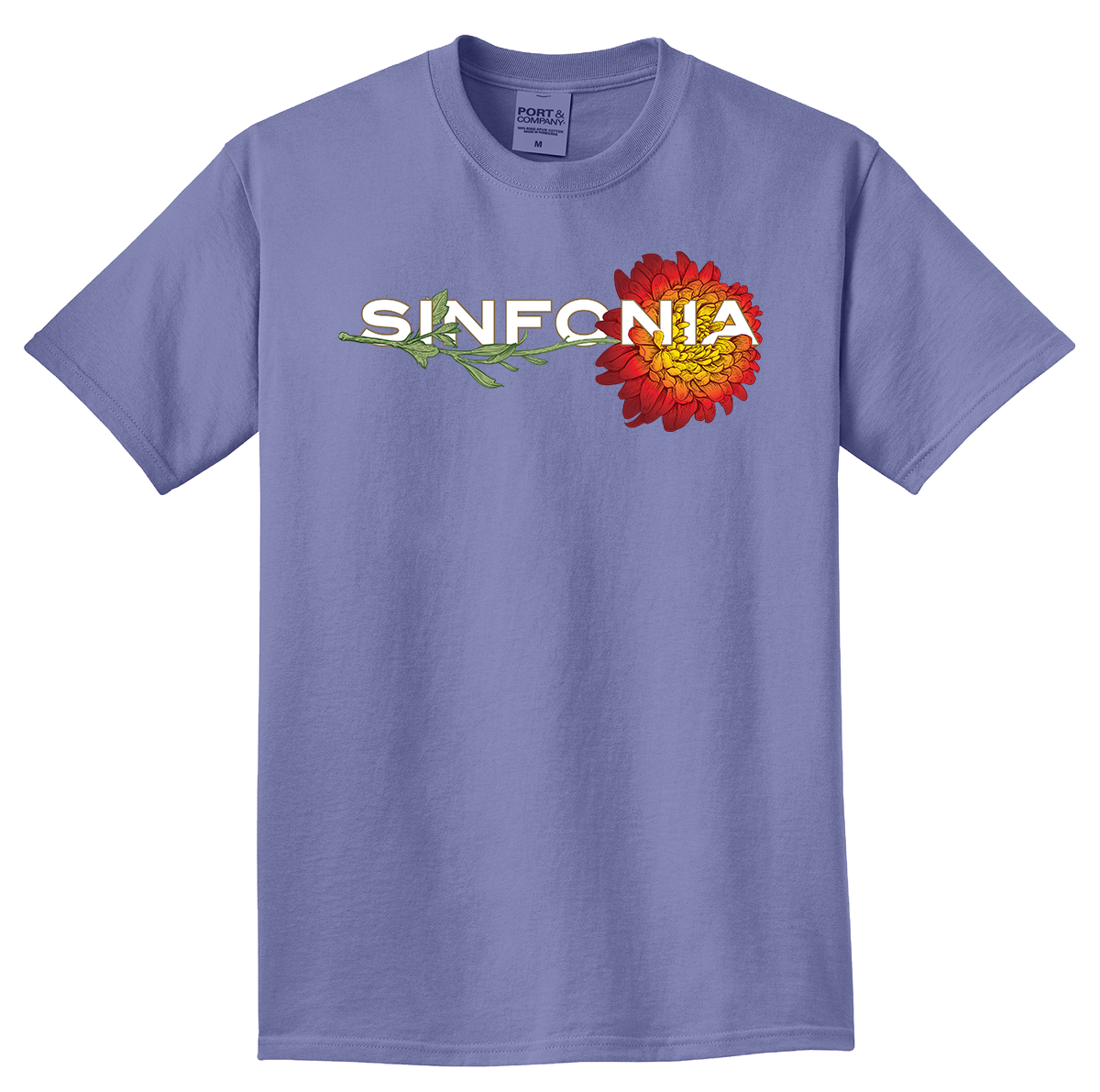 Chrysanthemum - Red Horizontal