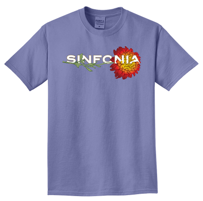 Chrysanthemum - Red Horizontal