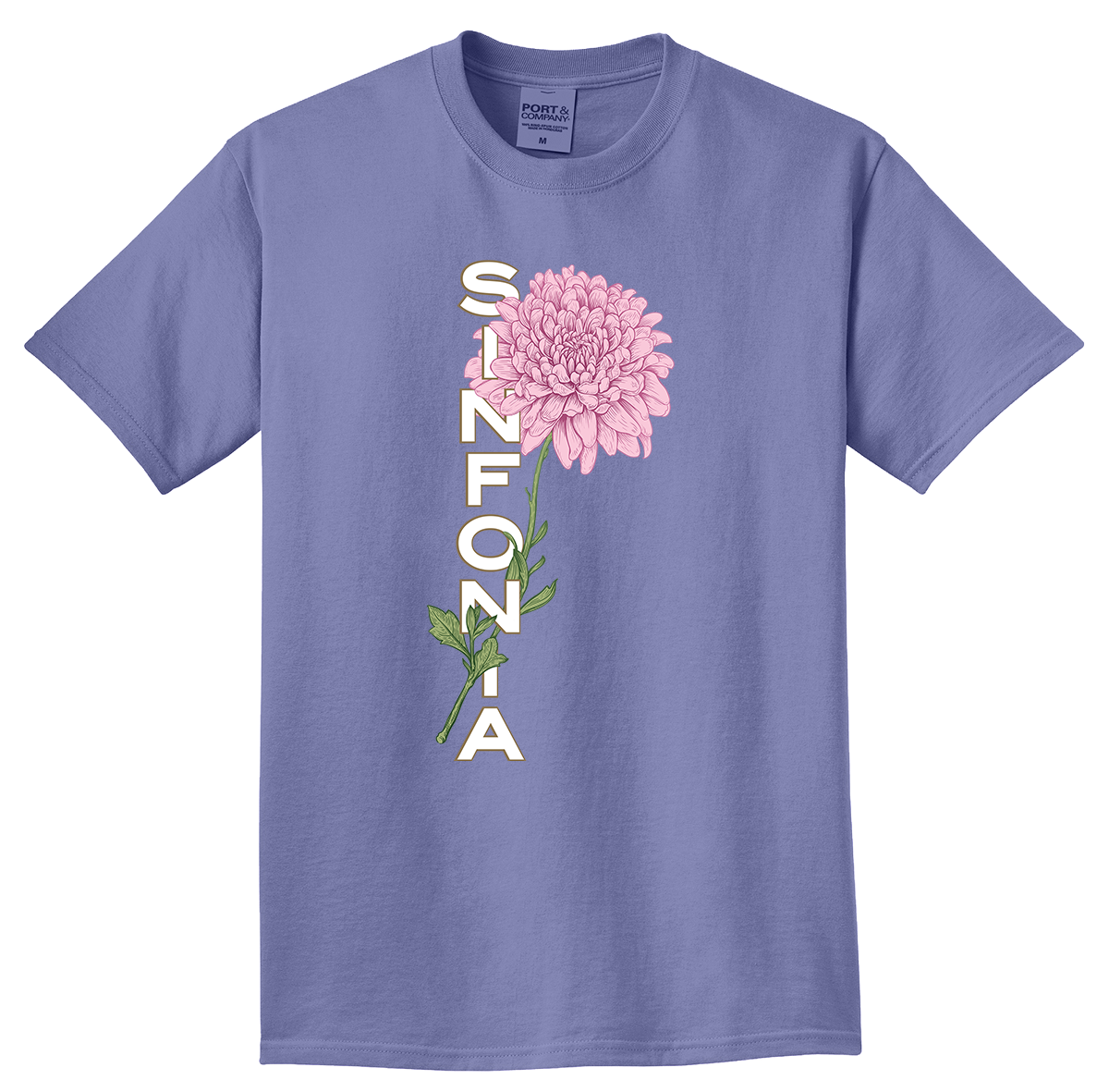 Chrysanthemum - Pink Vertical