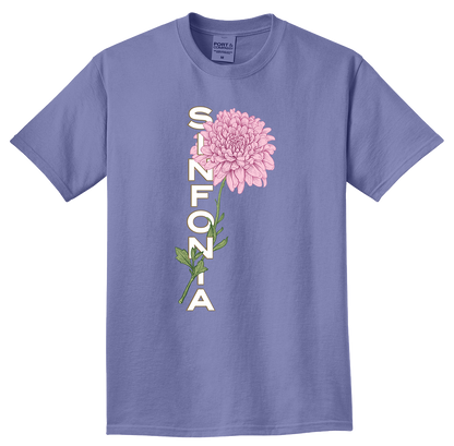 Chrysanthemum - Pink Vertical