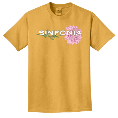 Chrysanthemum - Pink Horizontal