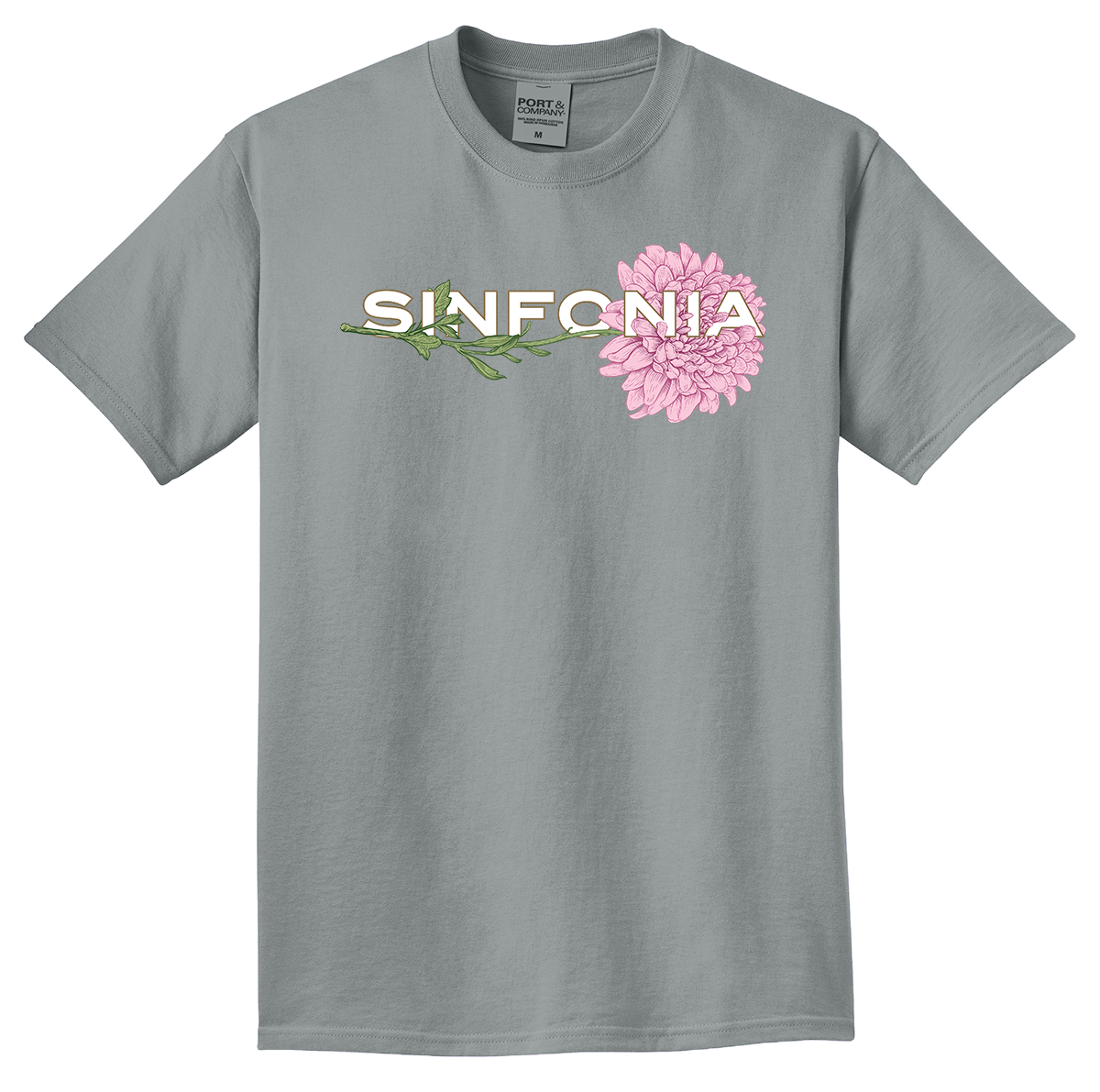 Chrysanthemum - Pink Horizontal