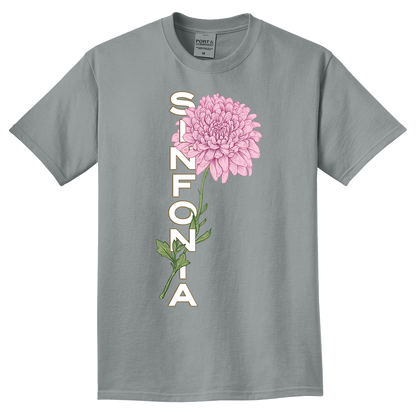 Chrysanthemum - Pink Vertical