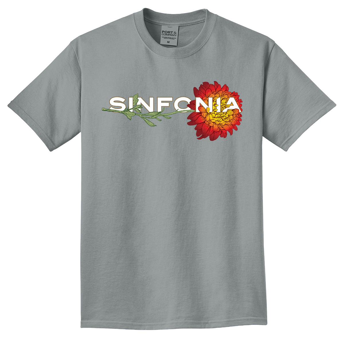 Chrysanthemum - Red Horizontal