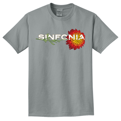 Chrysanthemum - Red Horizontal