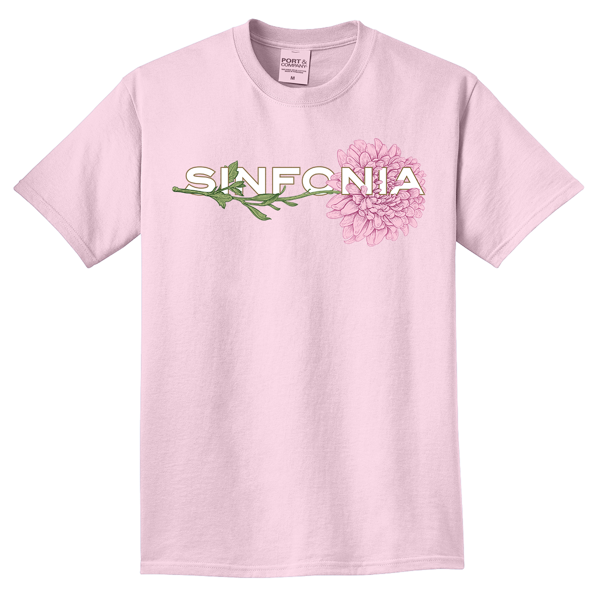 Chrysanthemum - Pink Horizontal