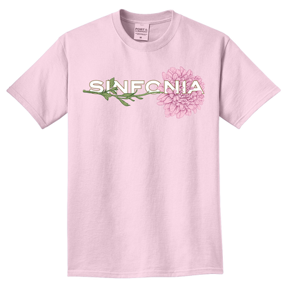 Chrysanthemum - Pink Horizontal