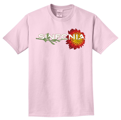 Chrysanthemum - Red Horizontal