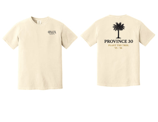 Province 30 Workshop T-Shirts