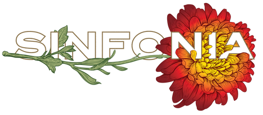 Chrysanthemum - Red Horizontal