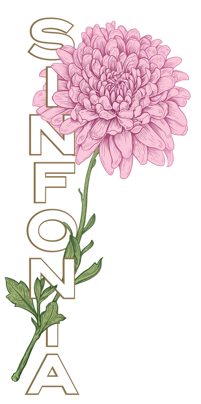 Chrysanthemum - Pink Vertical