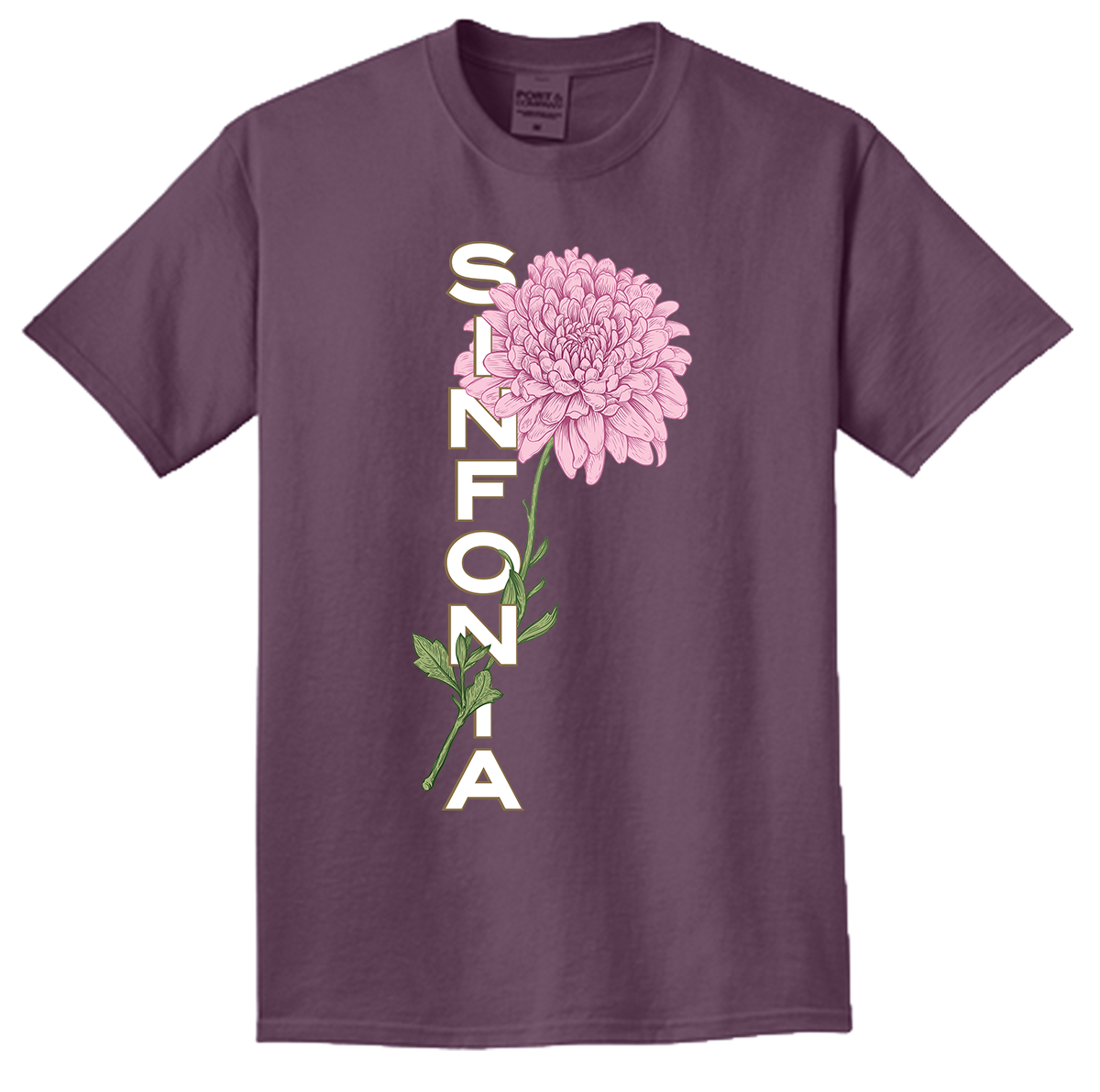 Chrysanthemum - Pink Vertical